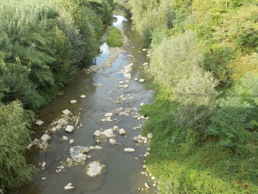 Fiume pulito in mezzo alla vegetazione