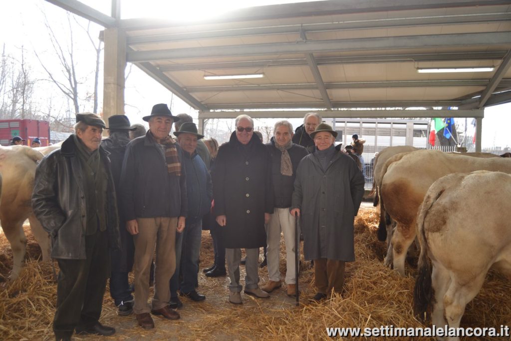 Alcuni momenti della fiera del bue grasso a Montechiaro