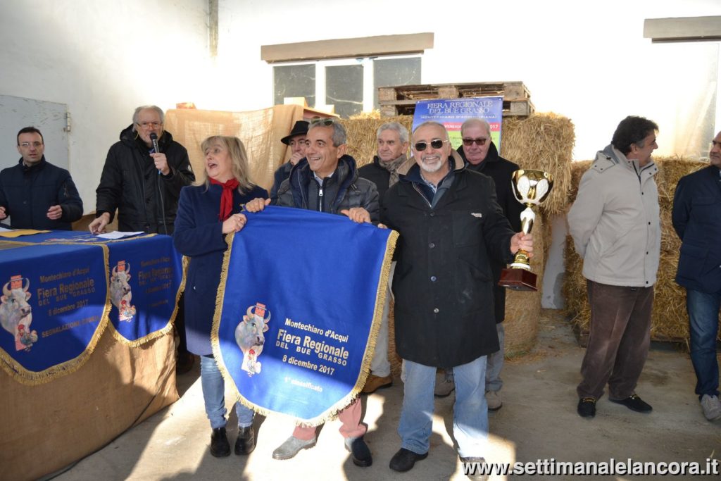 Alcuni momenti della fiera del bue grasso a Montechiaro