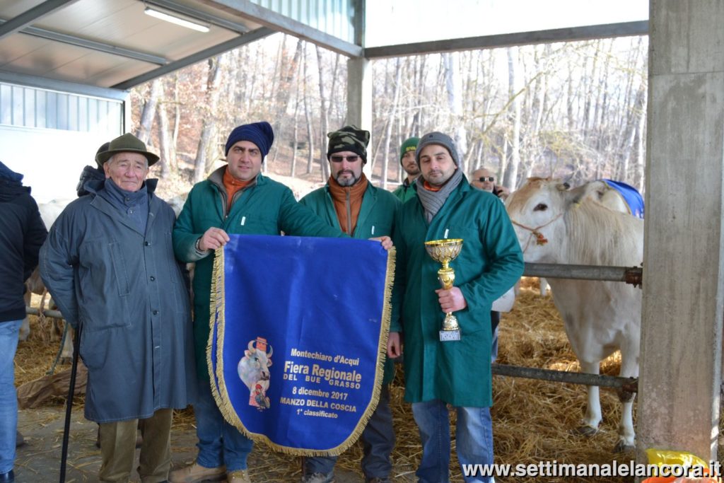 Alcuni momenti della fiera del bue grasso a Montechiaro