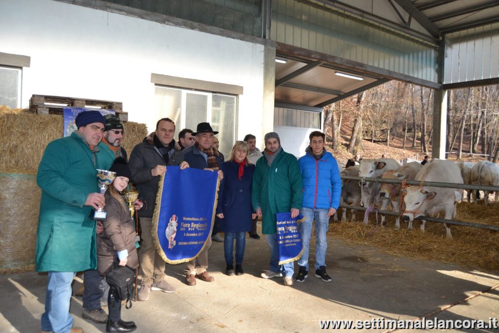 Alcuni momenti della fiera del bue grasso a Montechiaro