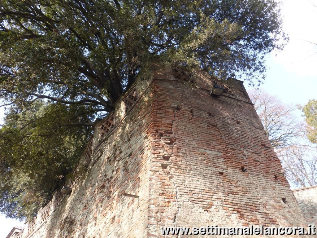 Castello dei Paleologi, muro esterno