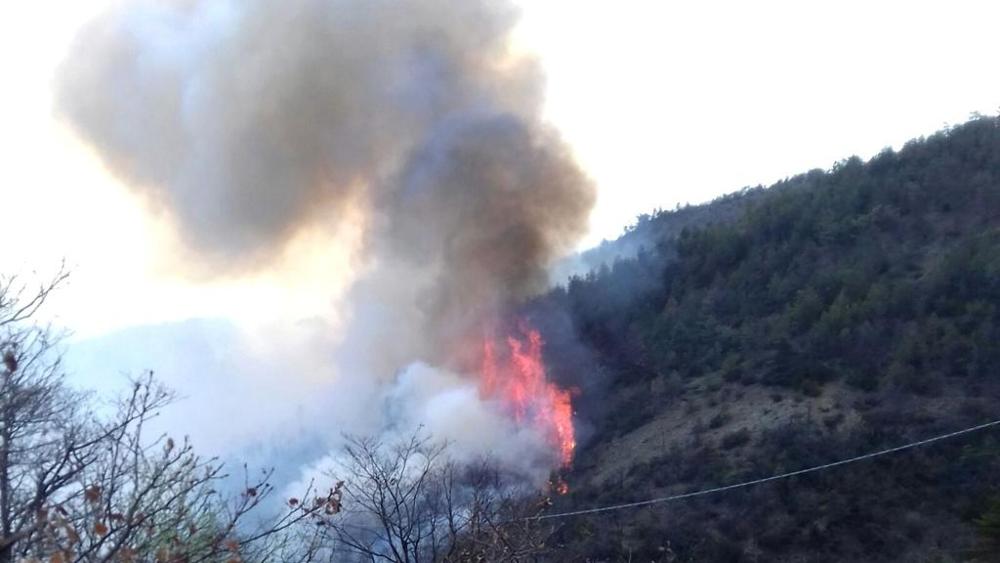 Incendio nei boschi di Ponzone