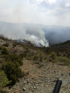 Incendio nei boschi di Ponzone