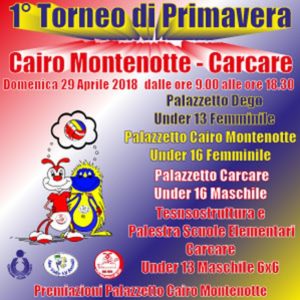 locandina Volley Torneo di Primavera