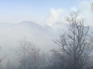 incendio nei boschi di Ponzone