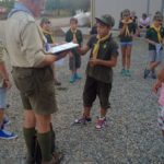 Cassine Scout