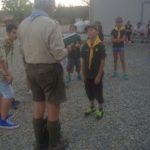 Cassine Scout