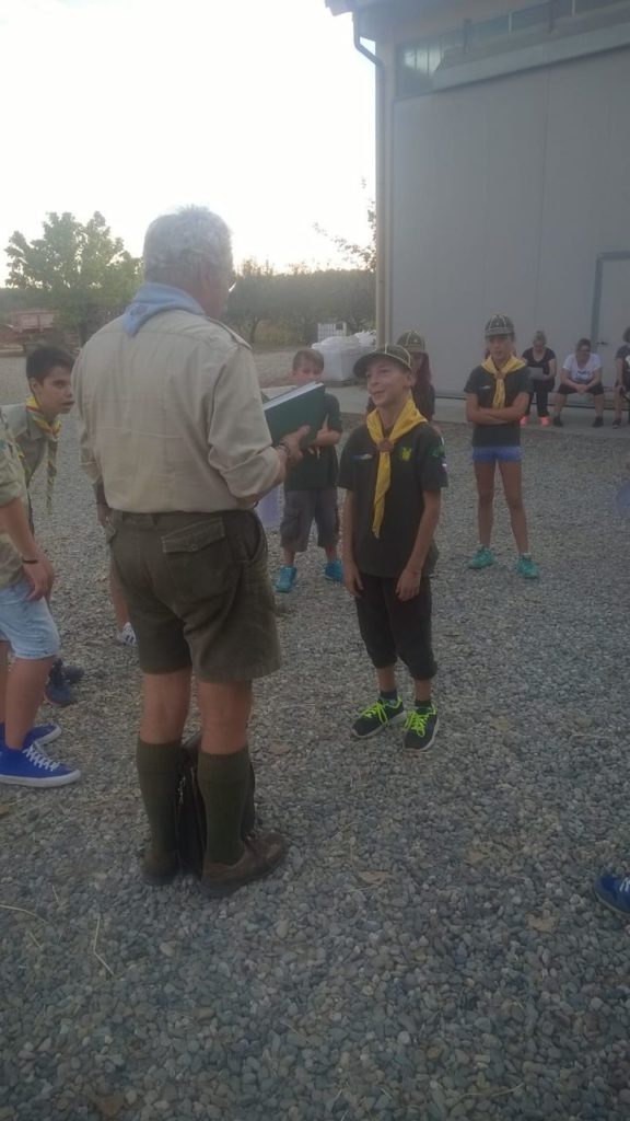 Cassine Scout