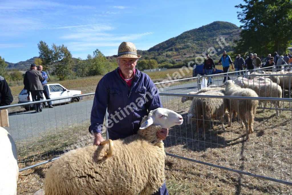 Fiera del montone grasso 2017