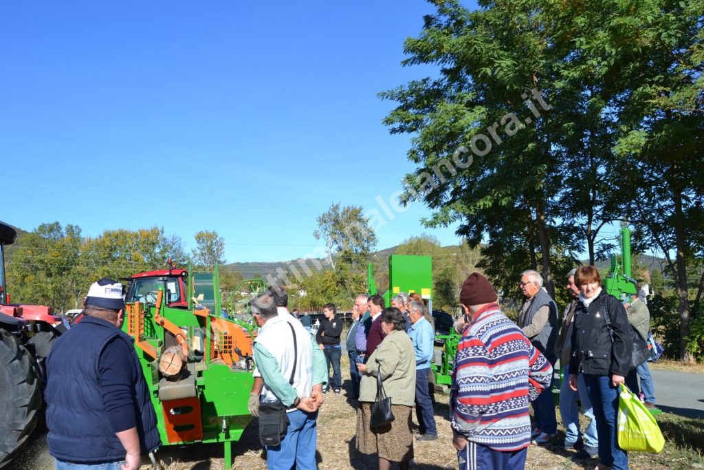 Fiera del montone grasso 2017