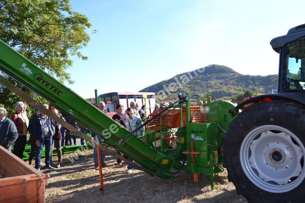 Fiera del montone grasso 2017