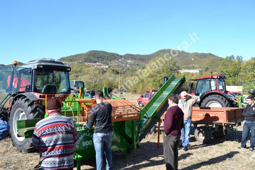 Fiera del montone grasso 2017