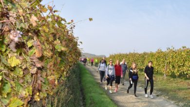 Alice Bel Colle: Camminata d’Autunno con tantissimi partecipanti