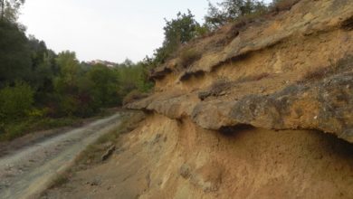 Una volta c’era il mare dalle parti di Cassi­nelle: il progetto del biologo Mariano Peruzzo