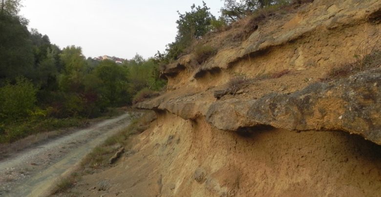 Una volta c’era il mare dalle parti di Cassi­nelle: il progetto del biologo Mariano Peruzzo