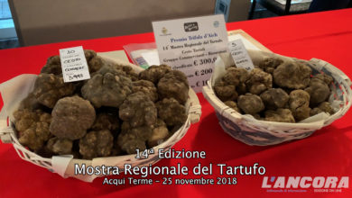 Acqui Terme - 14ª edizione Mostra regionale del Tartufo (VIDEO)