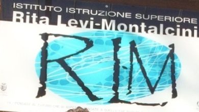 logo istituto Montalcini