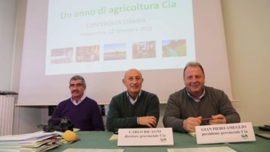 Produzioni agricole 2018: l’analisi della Cia