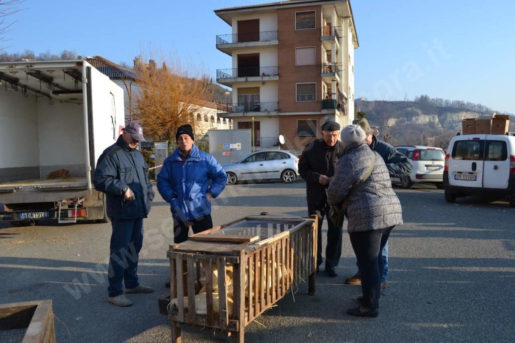 Vesime: grande fiera di Santa Lucia e del cappone nostrano