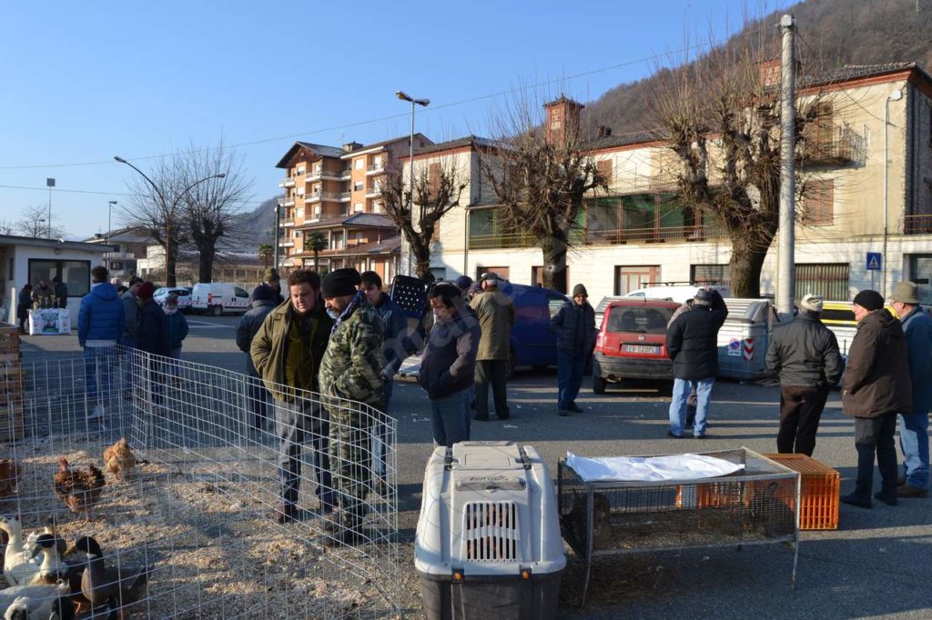 Vesime: grande fiera di Santa Lucia e del cappone nostrano