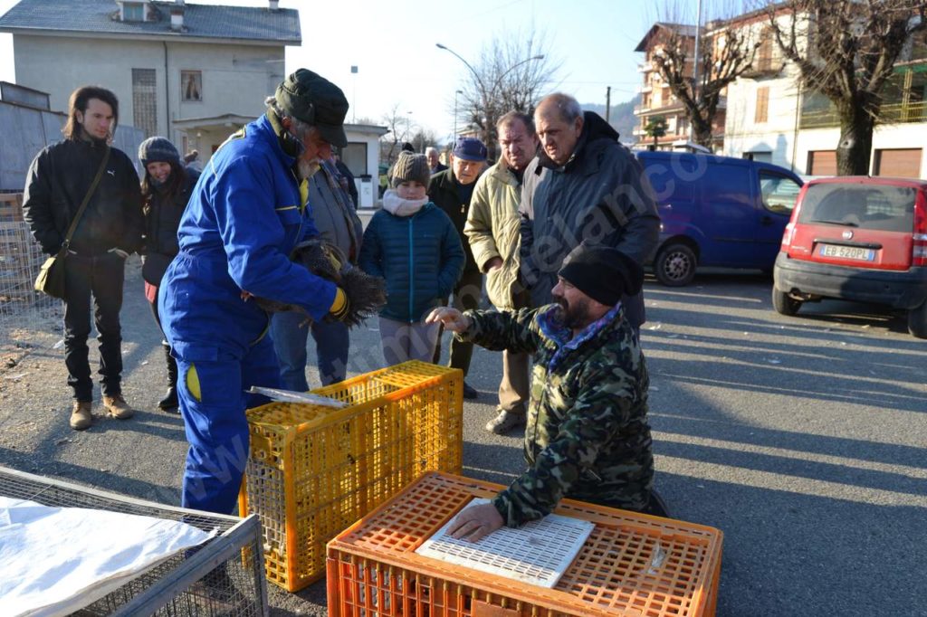 Vesime: grande fiera di Santa Lucia e del cappone nostrano