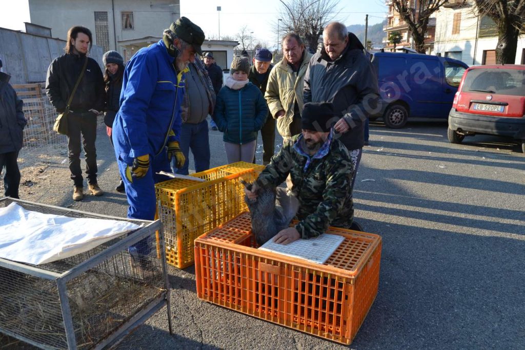 Vesime: grande fiera di Santa Lucia e del cappone nostrano