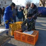 Vesime: grande fiera di Santa Lucia e del cappone nostrano