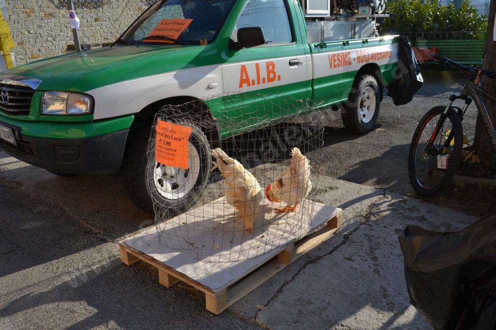 Vesime: grande fiera di Santa Lucia e del cappone nostrano