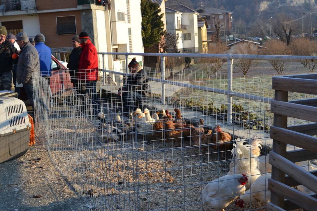 Vesime: grande fiera di Santa Lucia e del cappone nostrano