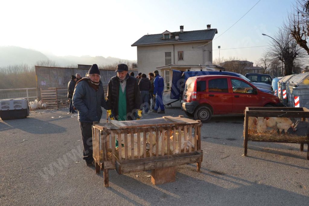 Vesime: grande fiera di Santa Lucia e del cappone nostrano