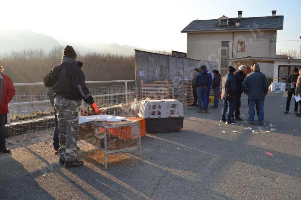 Vesime: grande fiera di Santa Lucia e del cappone nostrano