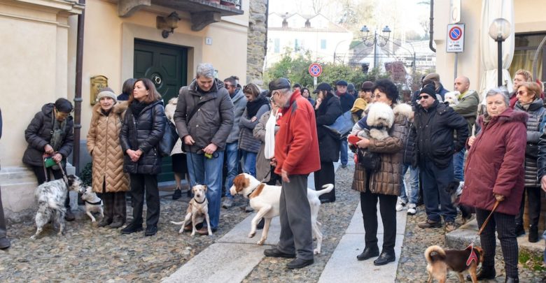 benedizione degli animali