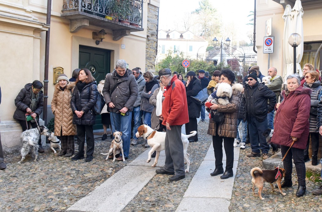 benedizione degli animali