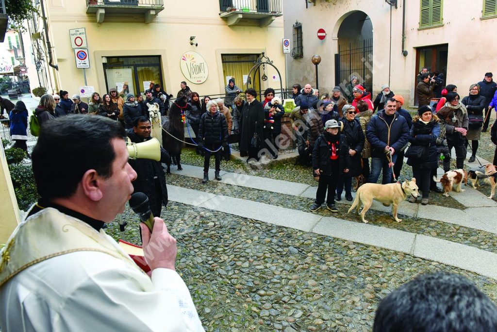 benedizione degli animali