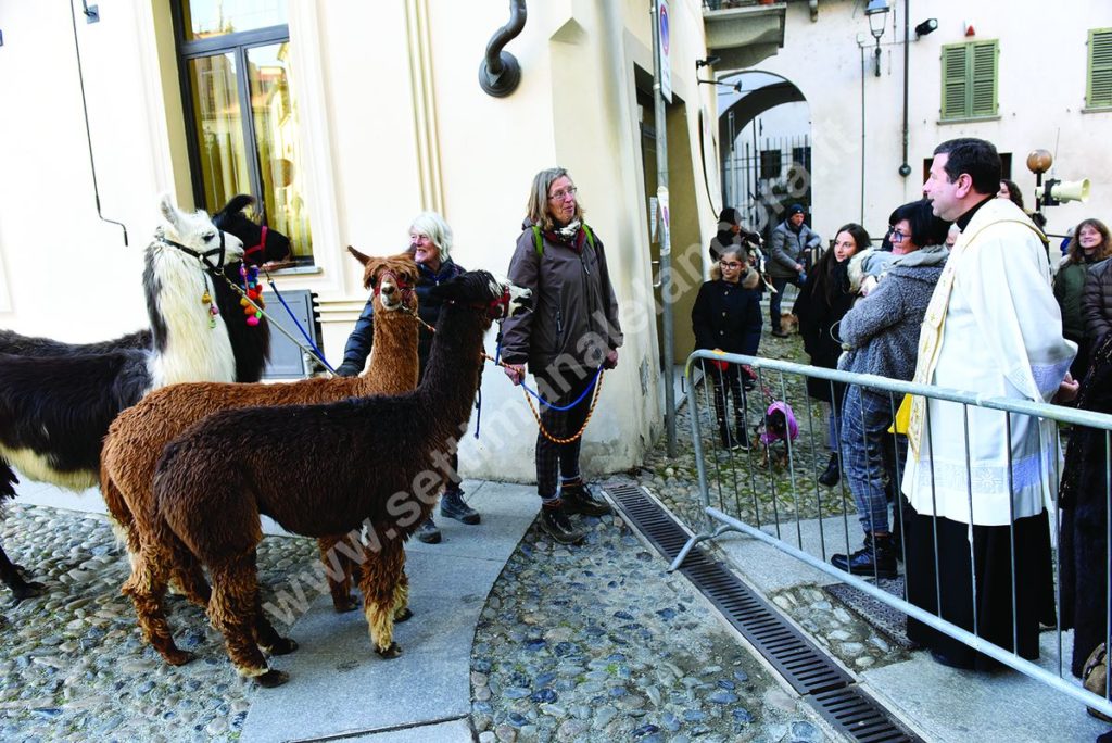 benedizione degli animali