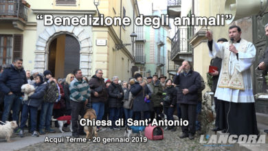 Acqui Terme - Benedizione degli animali 2019 (VIDEO)