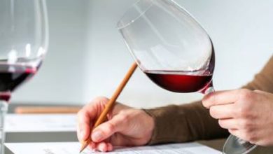 Corso per Sommelier al via ad Ovada