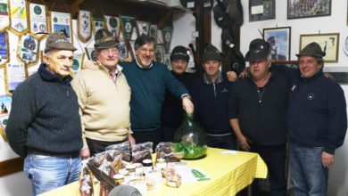 Tremila pini per il Veneto dagli alpini santostefanesi