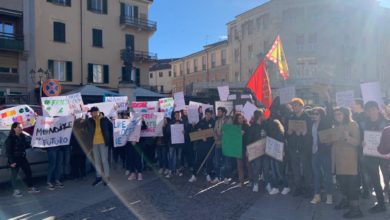 manifestazione-studenti-salvaguardia-ambiente