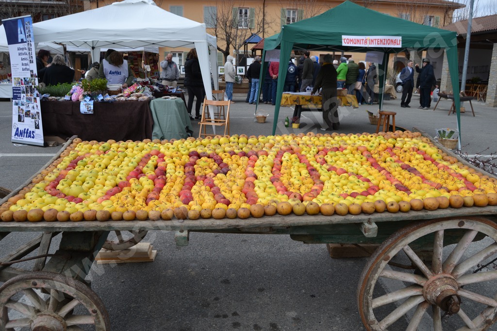 Cartosio alla grande 5ª “Primavera fruttuosa 2019” festa dei frutti antichi e degli innesti in piazza