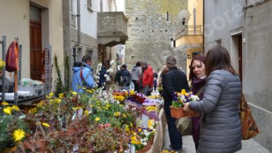 Cartosio alla grande 5ª “Primavera fruttuosa 2019” festa dei frutti antichi e degli innesti in piazza