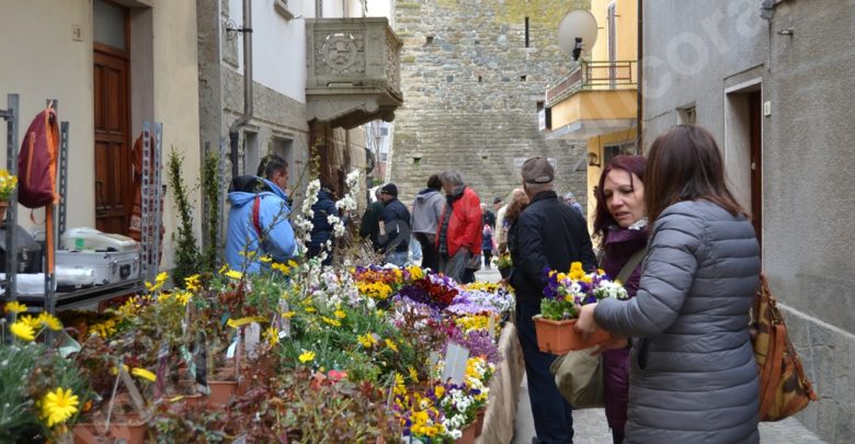 Cartosio alla grande 5ª “Primavera fruttuosa 2019” festa dei frutti antichi e degli innesti in piazza