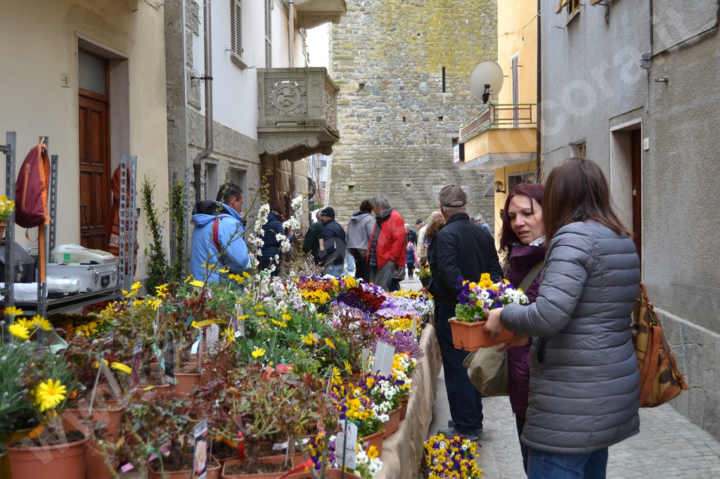 Cartosio alla grande 5ª “Primavera fruttuosa 2019” festa dei frutti antichi e degli innesti in piazza