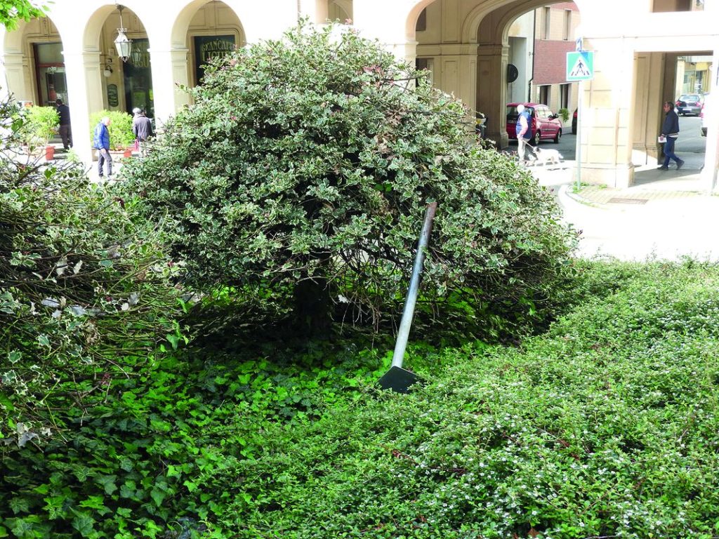 Acqui- giardini del liceo