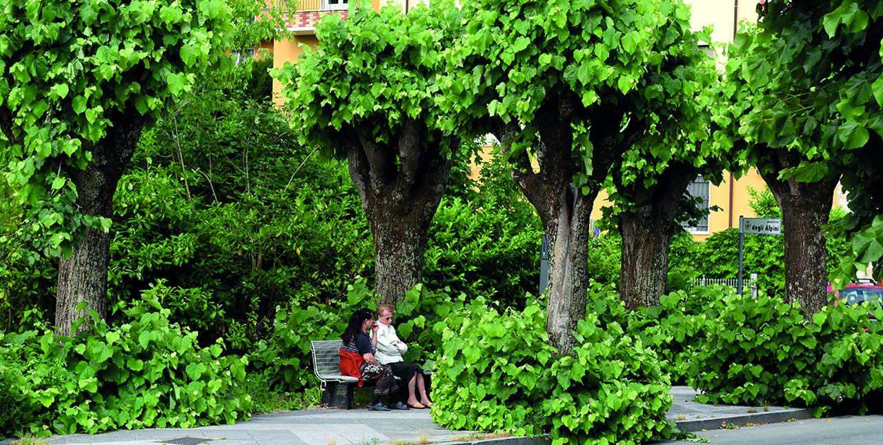 In zona Bagni… immersi nel verde