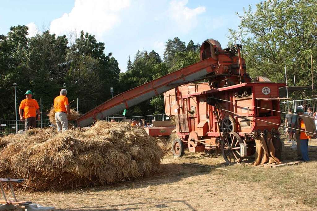 Agricoltura contadina